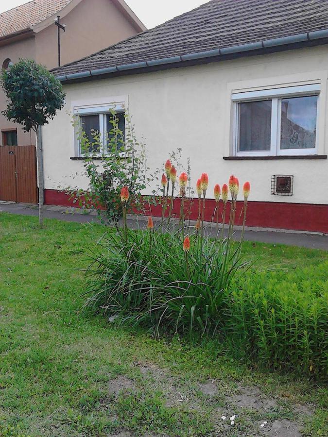 Toth Maganszallas Hajduszoboszlo Apartment Exterior foto